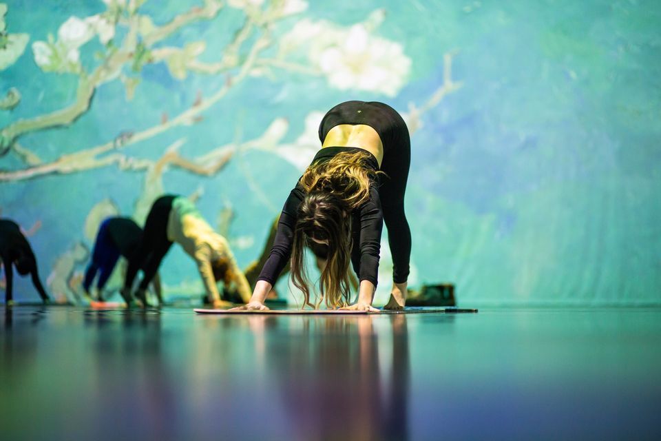 Sweet Yoga Vibes @ Beyond Van Gogh ~ Halifax