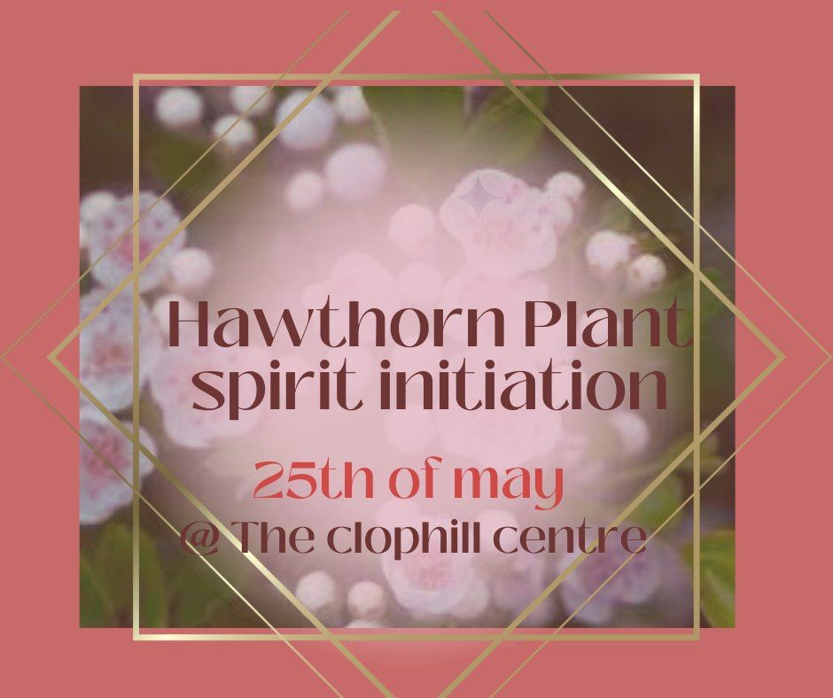 Hawthorn Plant Spirit initiation