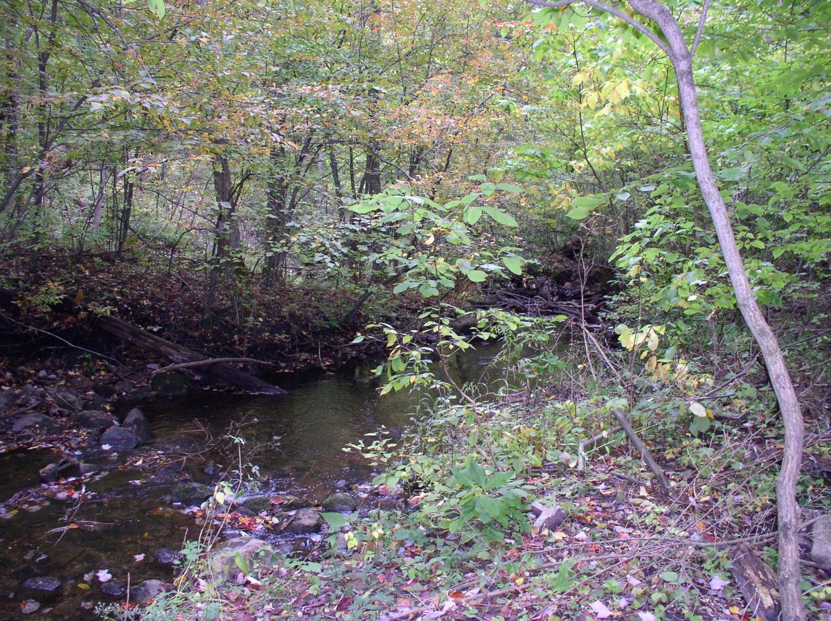 Fall Nature Study Days for Homeschoolers