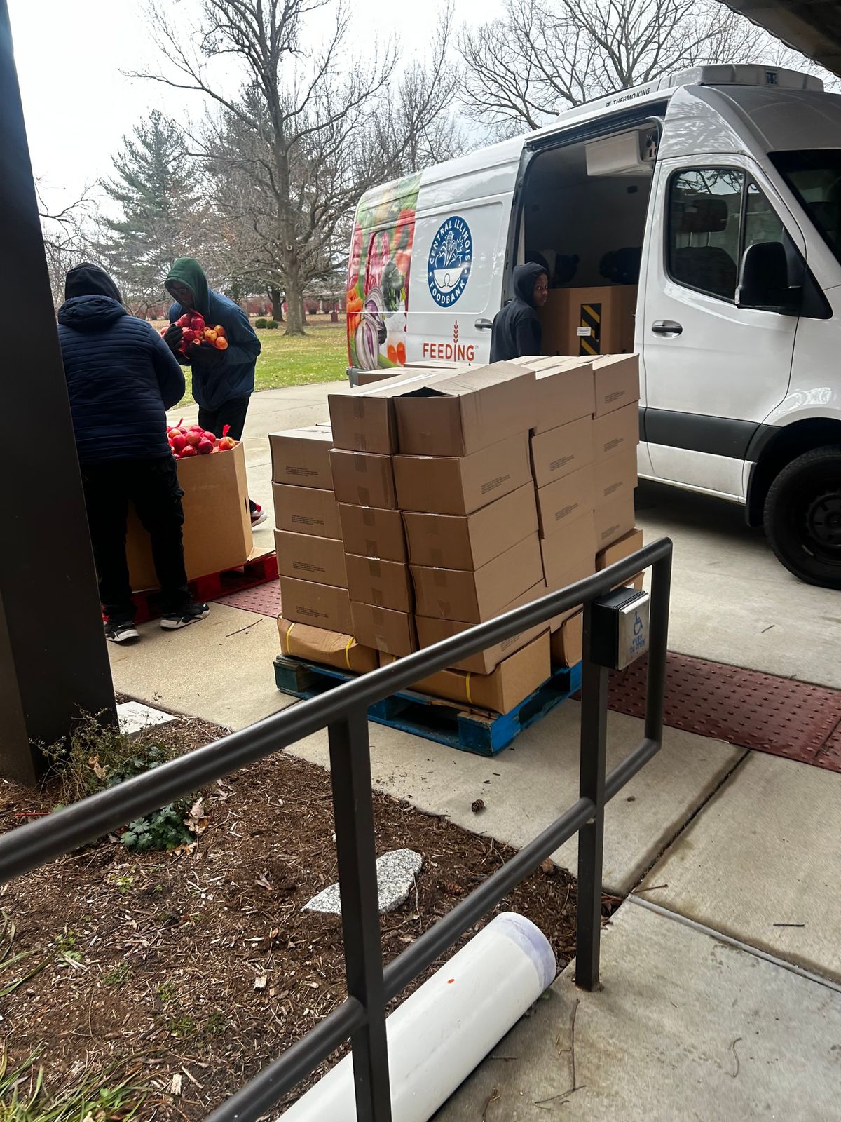 Food Distribution in Springfield