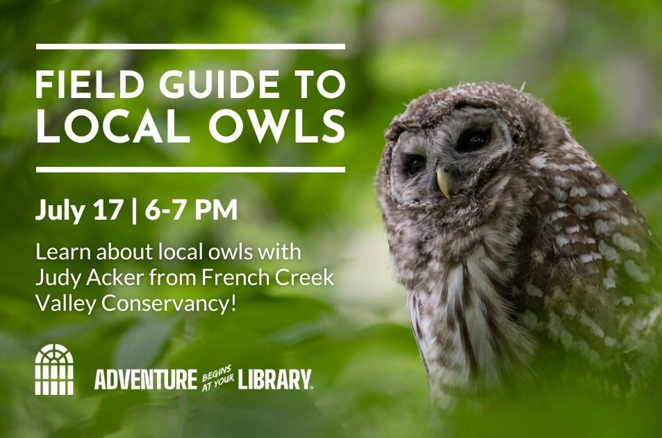 Field Guide to Owls