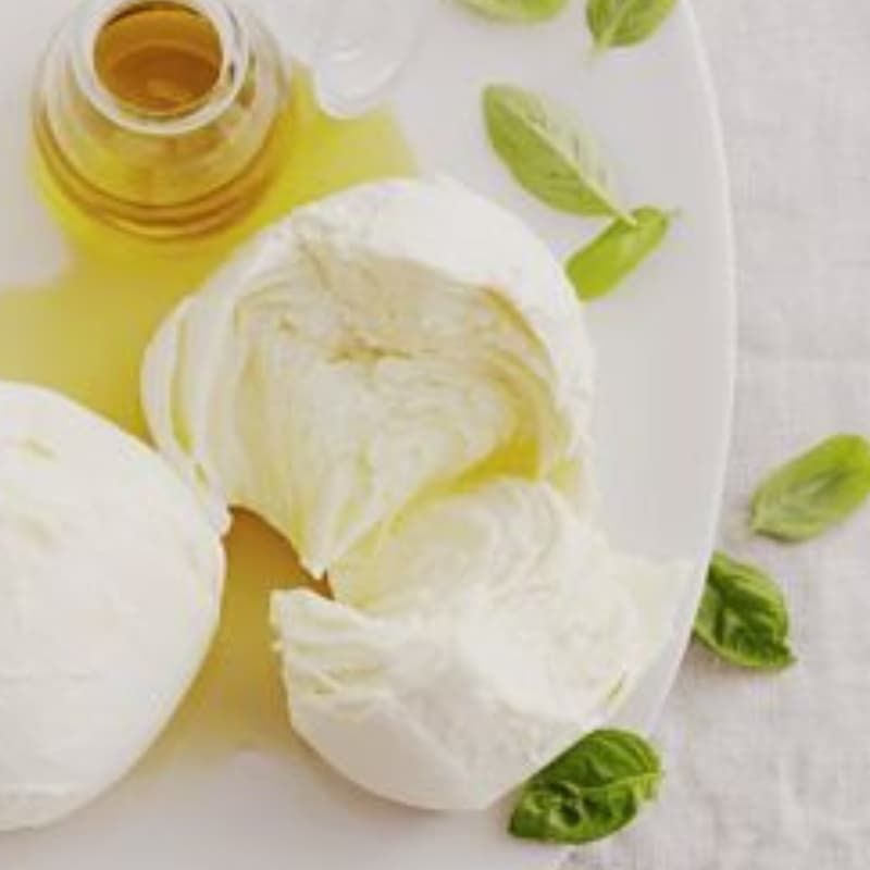 Fresh Mozzarella From Scratch - Miami