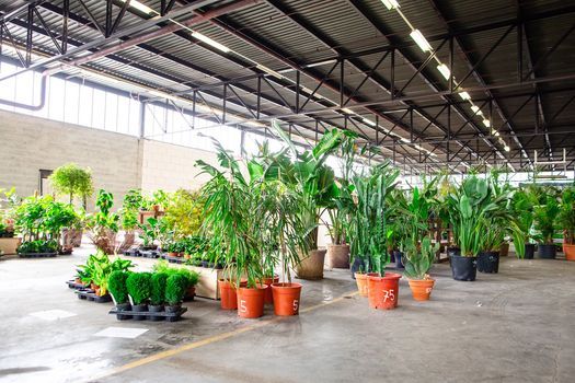 De Tuinen Van YARD SALE - nieuwe locatie