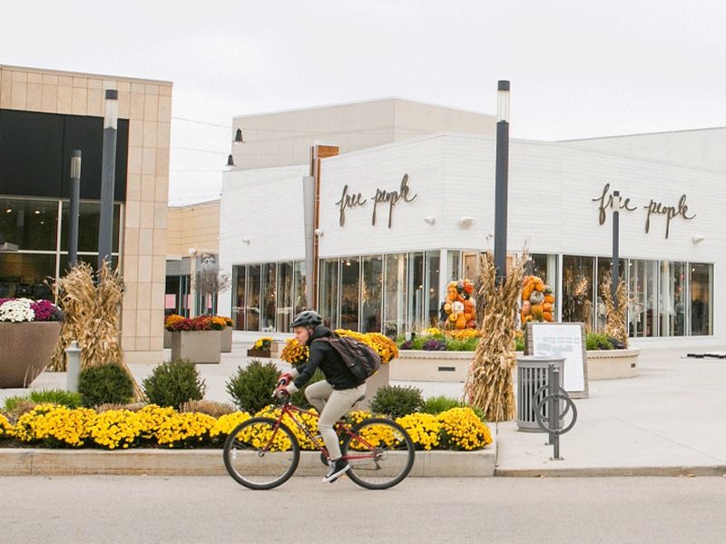 Sketch Together - Fall Displays at Hilldale Shopping Area