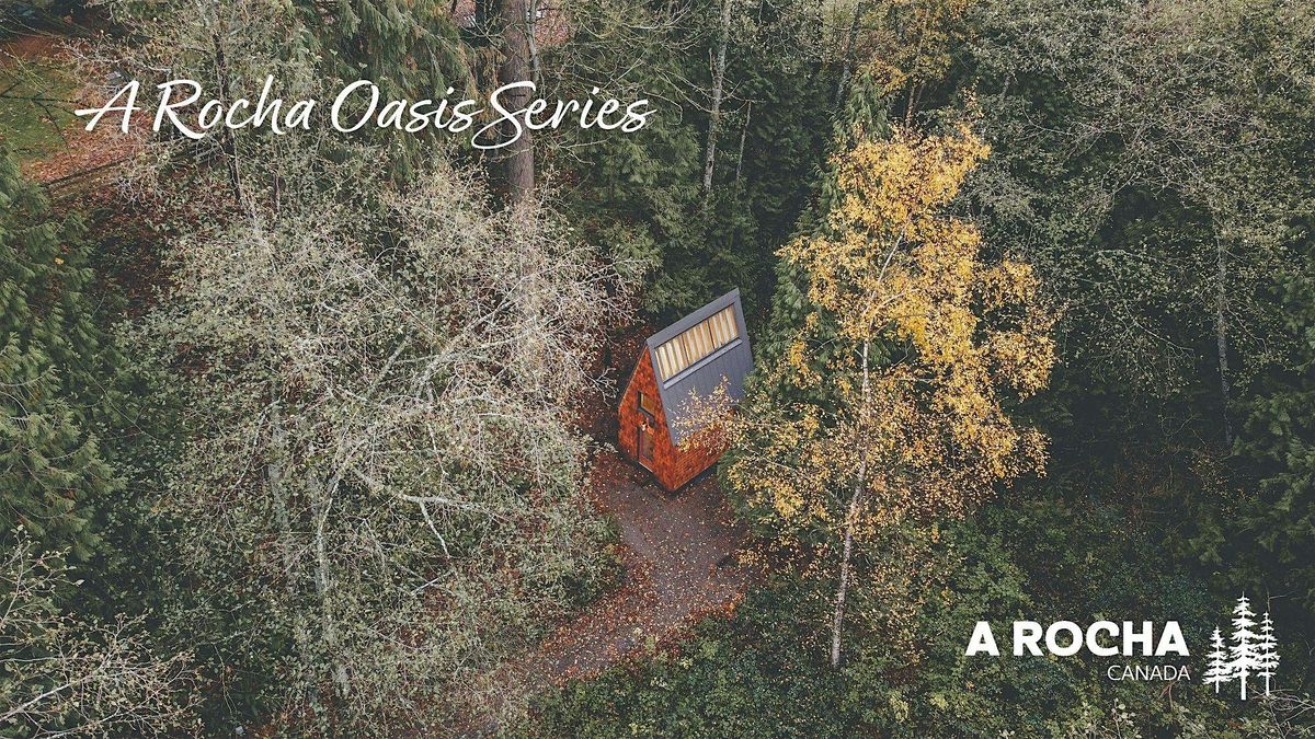 Oasis Series: Restoring the Heart of Vocation