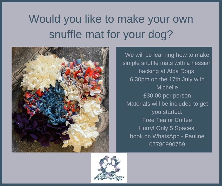 Would You Like To Make Your Own Snuffle Mat For Your Dog