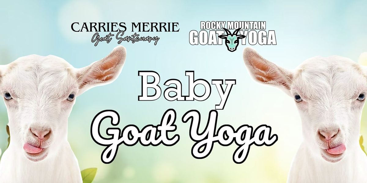 Baby Goat Yoga - June  16th (CARRIES MERRIE GOAT SANCTUARY)