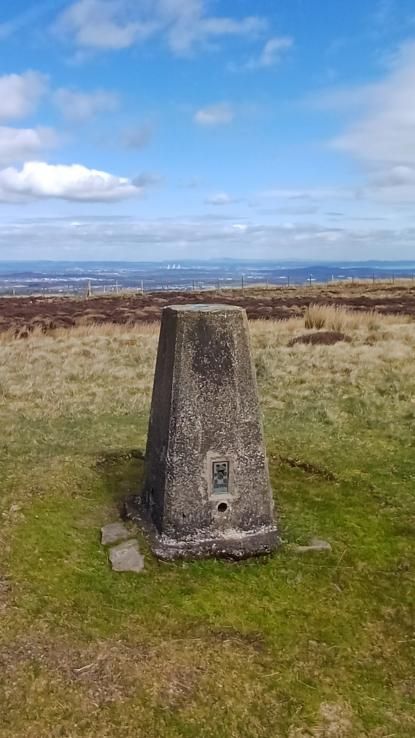 Corston Hill and Selm Muir Wood