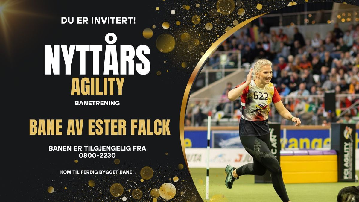 Nytt\u00e5rs-AGILITY-Banetrening av Ester Falck