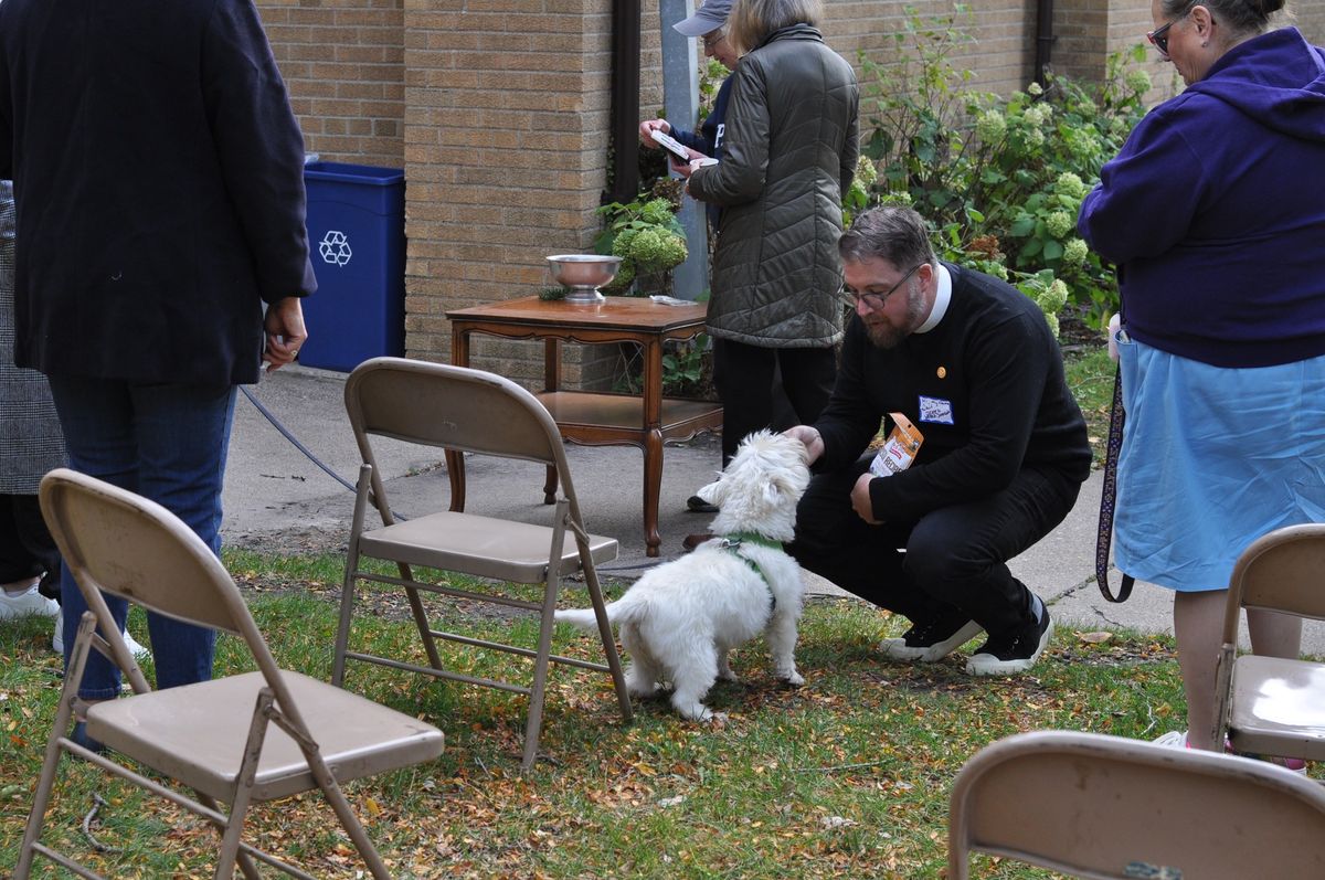 Blessing of the Animals