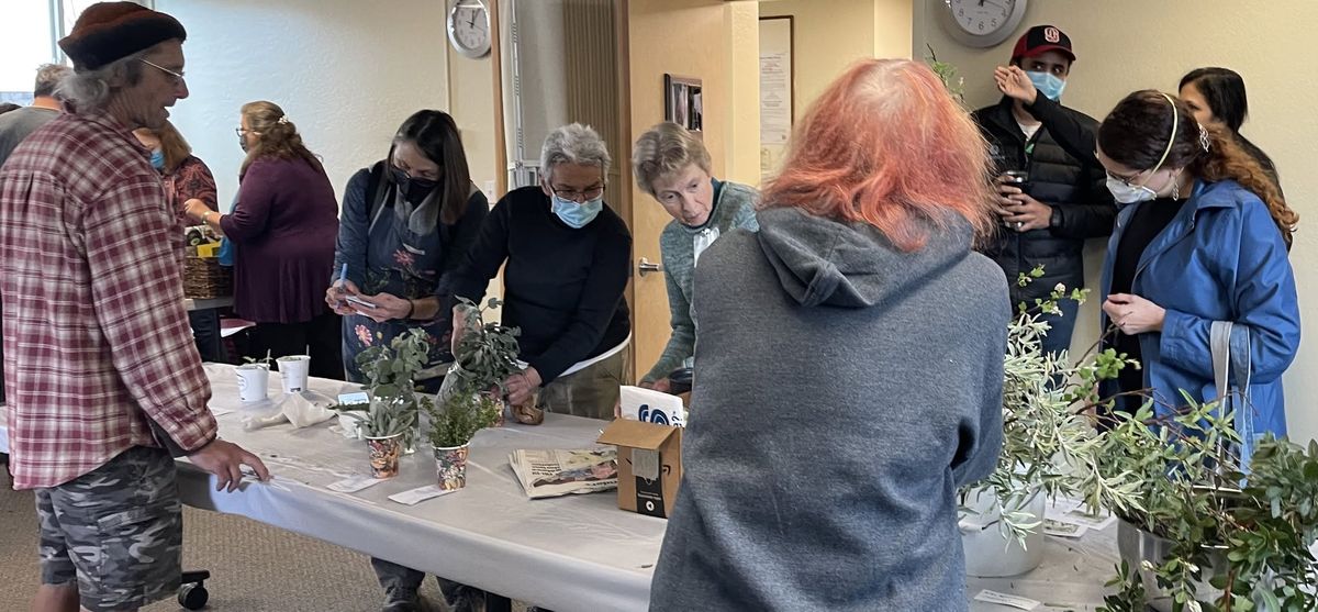 Seed and Cutting Exchange + Plant Sale Pickup 