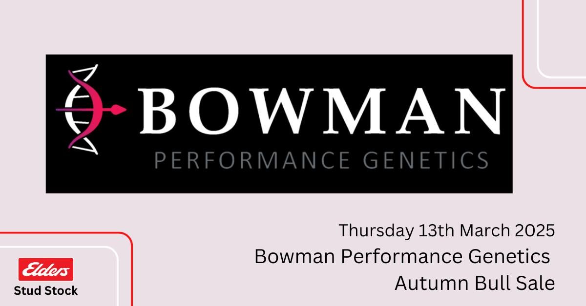 Bowman Performance Genetics Autumn Bull Sale