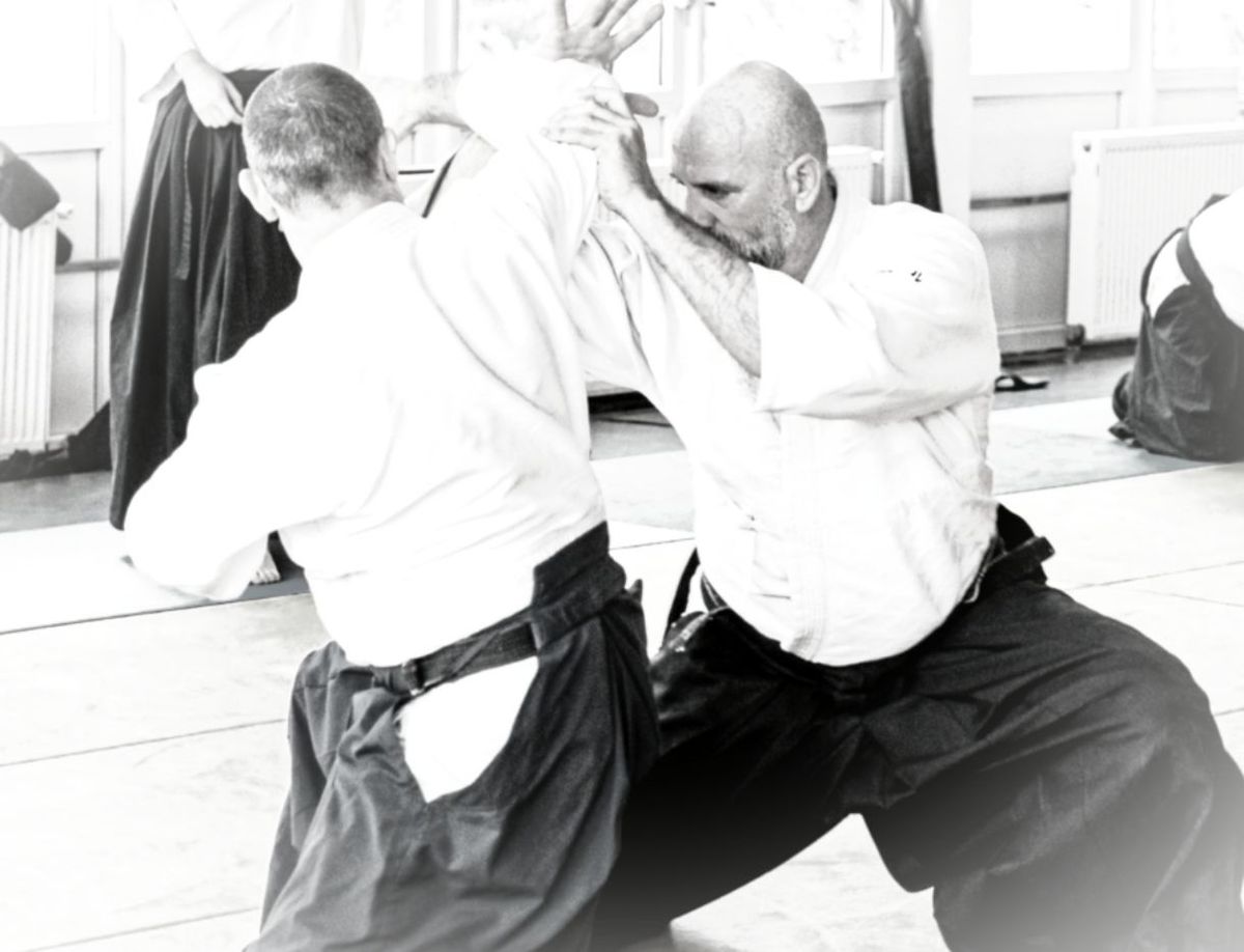 1-2\/03\/2025 IASI AIKIDO SEMINAR