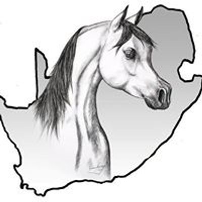 Arab Horse Society of South Africa