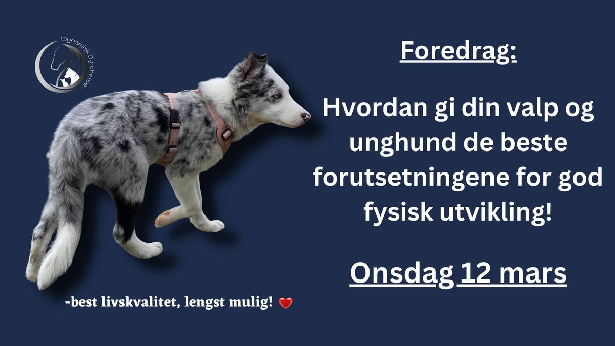 Foredrag: Gi din VALP og UNGhund de beste forutsetningen for fysisk utvikling!