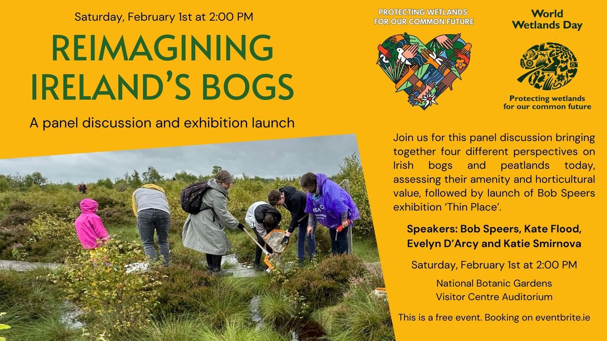 Reimagining Ireland's Bogs: Panel discussion and Exhibition launch