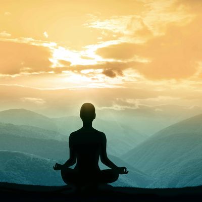 The Mindfulness Journey