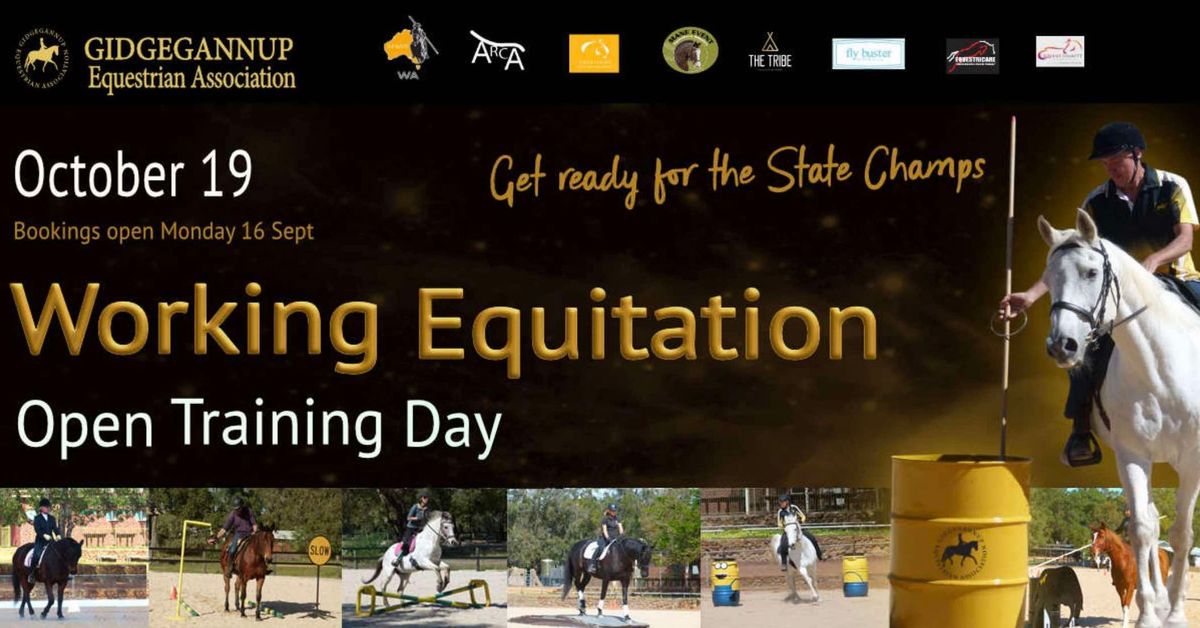 GEA Open Working Equitation Training Day