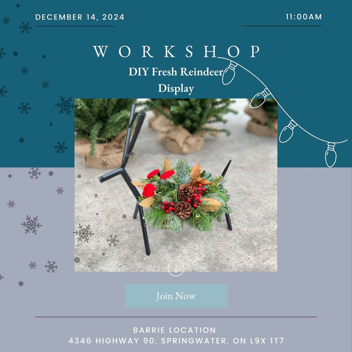 DIY Fresh Reindeer Display Workshop Tickets (Barrie Location)