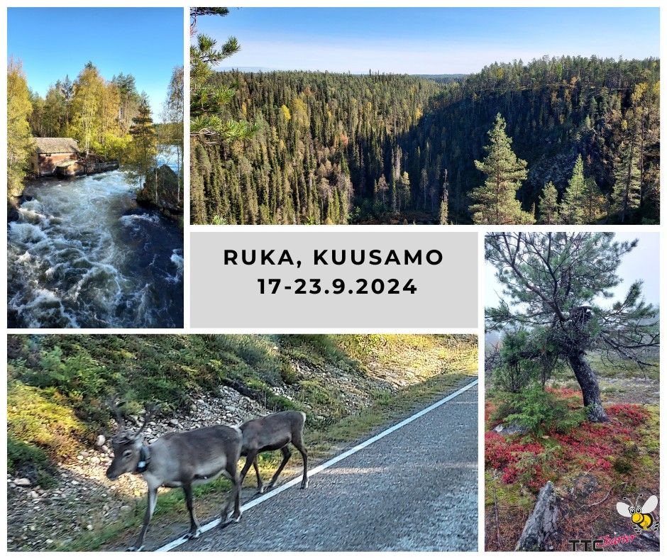 Ruskareissu, Kuusamo 17-23.9.2025. Bussilla Turun seudulta l\u00e4htien.