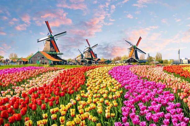 Holland & Belgium 2026 Spring River Cruise - Trip Information Session