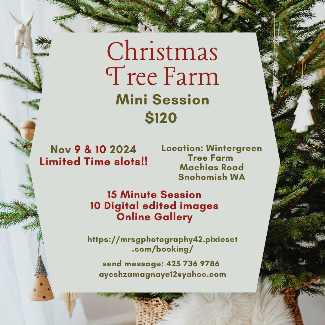 Christmas Tree Farm Mini Session