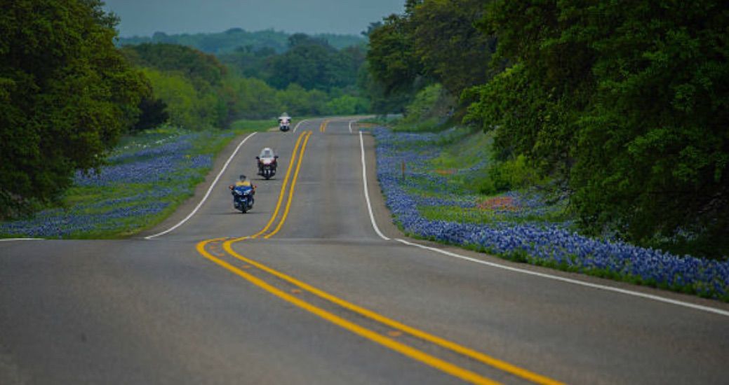 AEHOG 2025 Spring Wildflower Ride