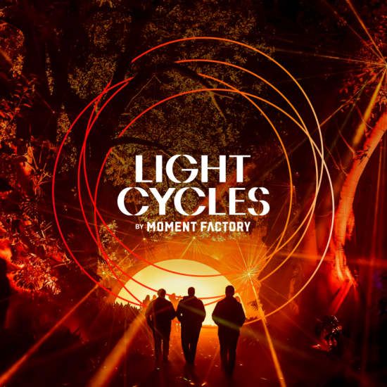 Light Cycles: A glowing night walk through nature, light, and sound