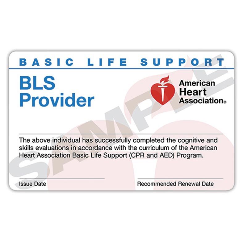 AHA BLS (CPR) Provider Course 