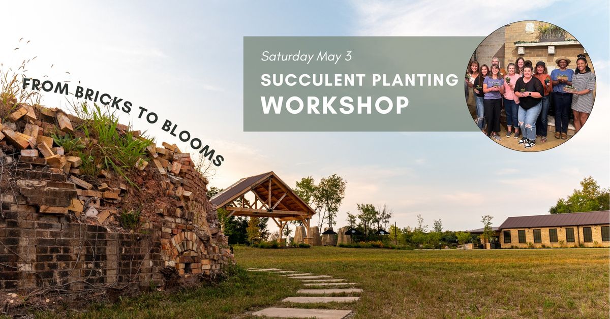 Succulent Planting Workshop