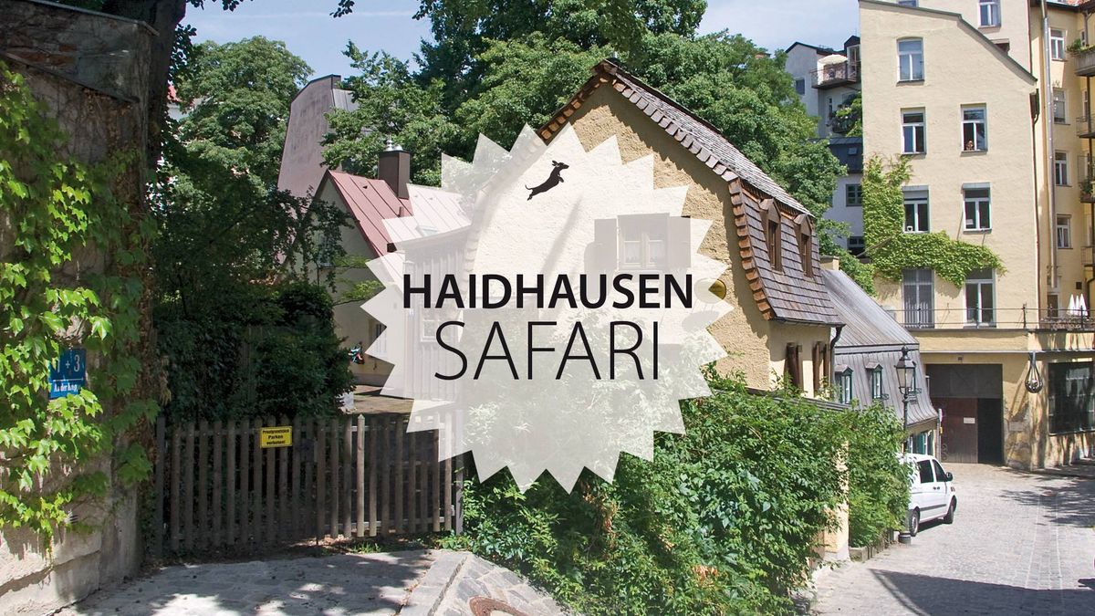 Haidhausen-Safari am 28. Juli 2024