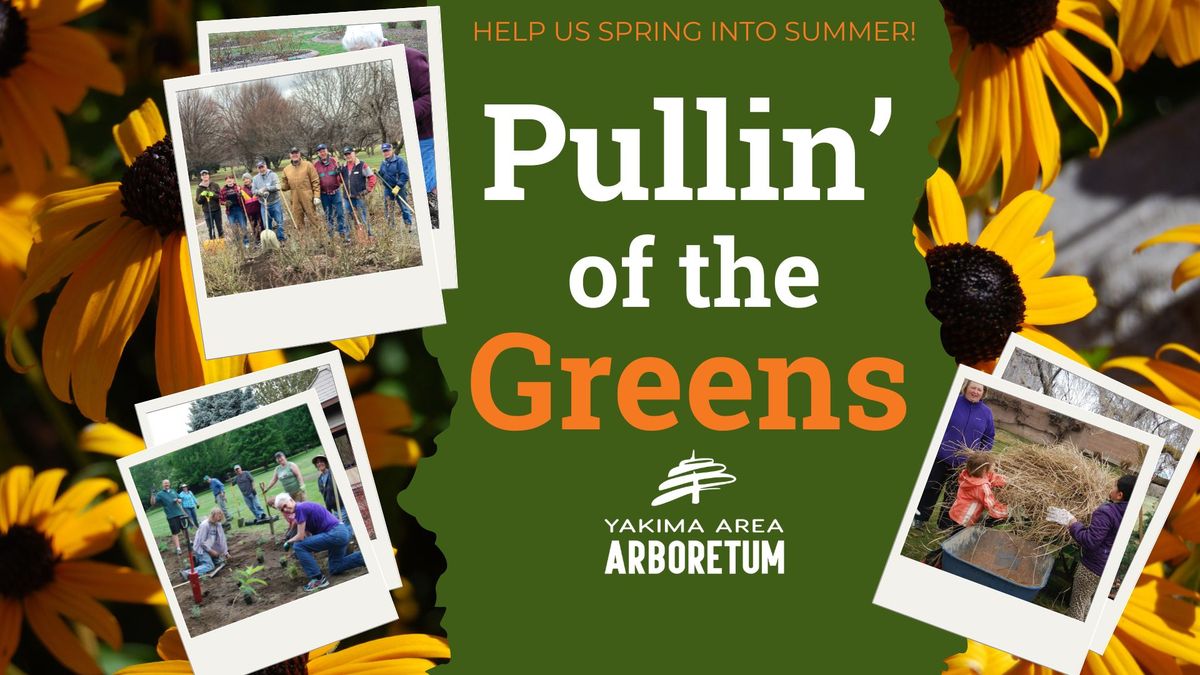 Pullin' of the Greens: Volunteer Day at YAA