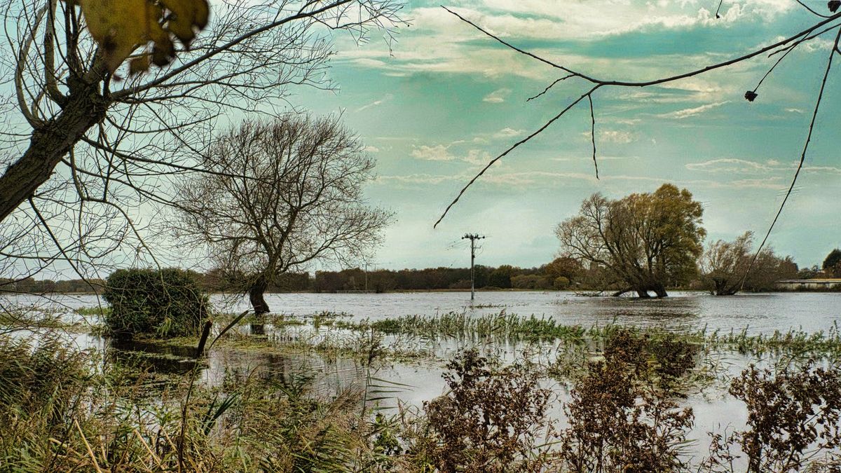 Broads Society Lecture Innovative Management of the Broads Landscape