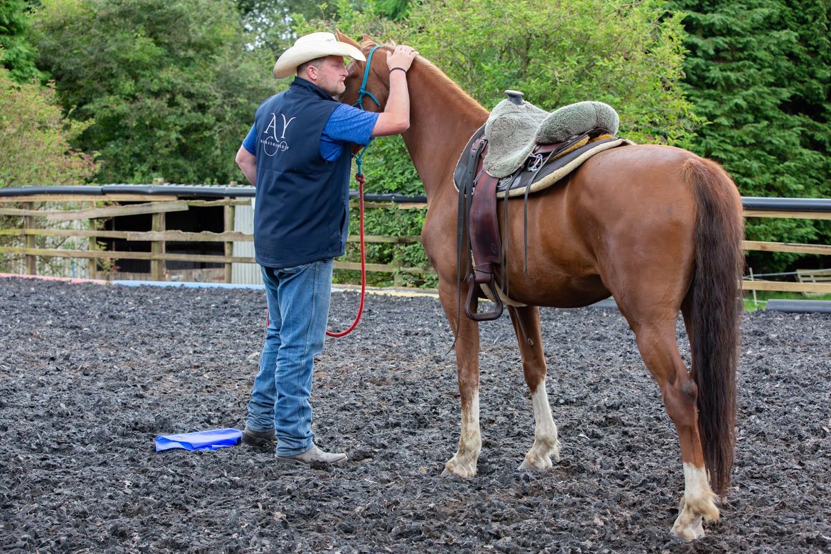 Horsemanship Clinic