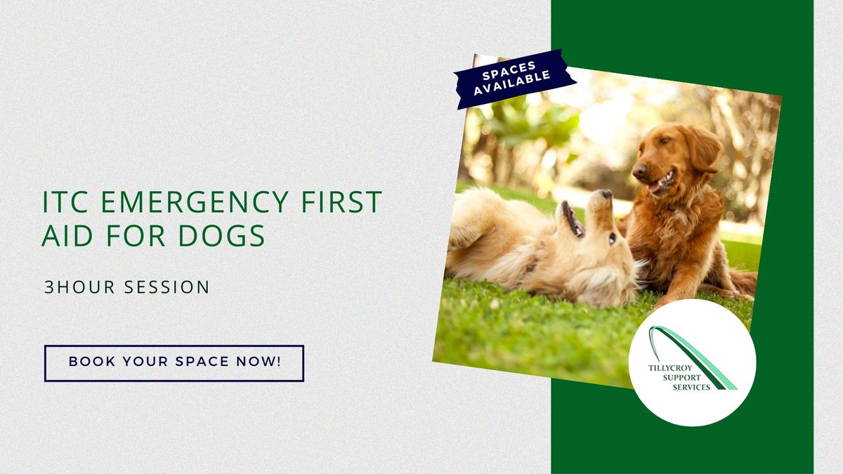 Emergency First Aid for Dogs (3 Hour)