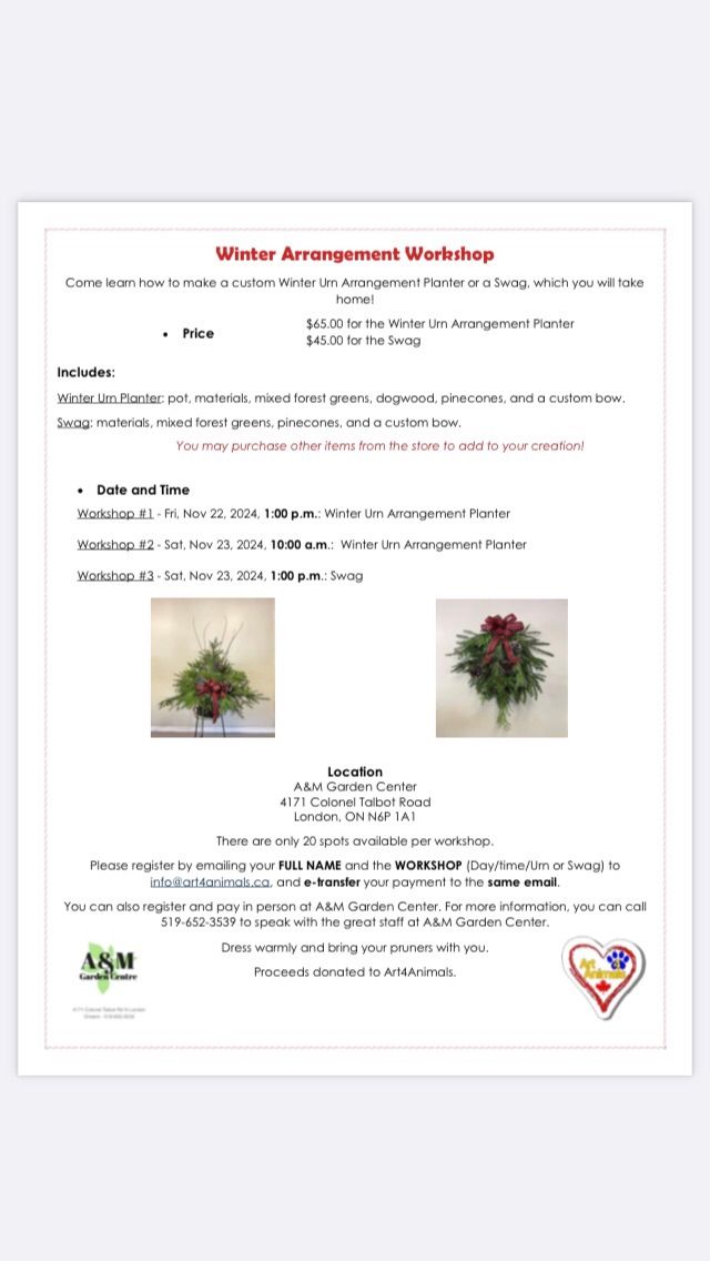 Winter Arrangement Workshop