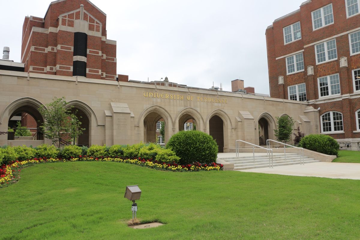 Bernie Crook Distinguished Visiting Professorship in Oncology Nursing 