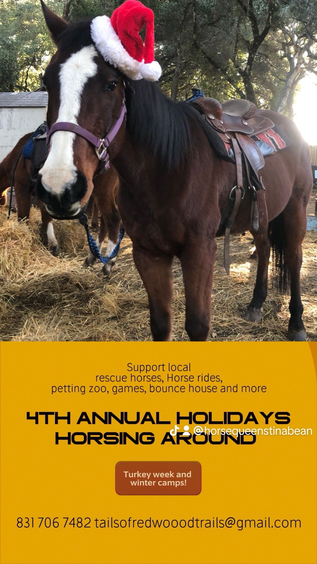 4th annual Holidays Horsin Around 