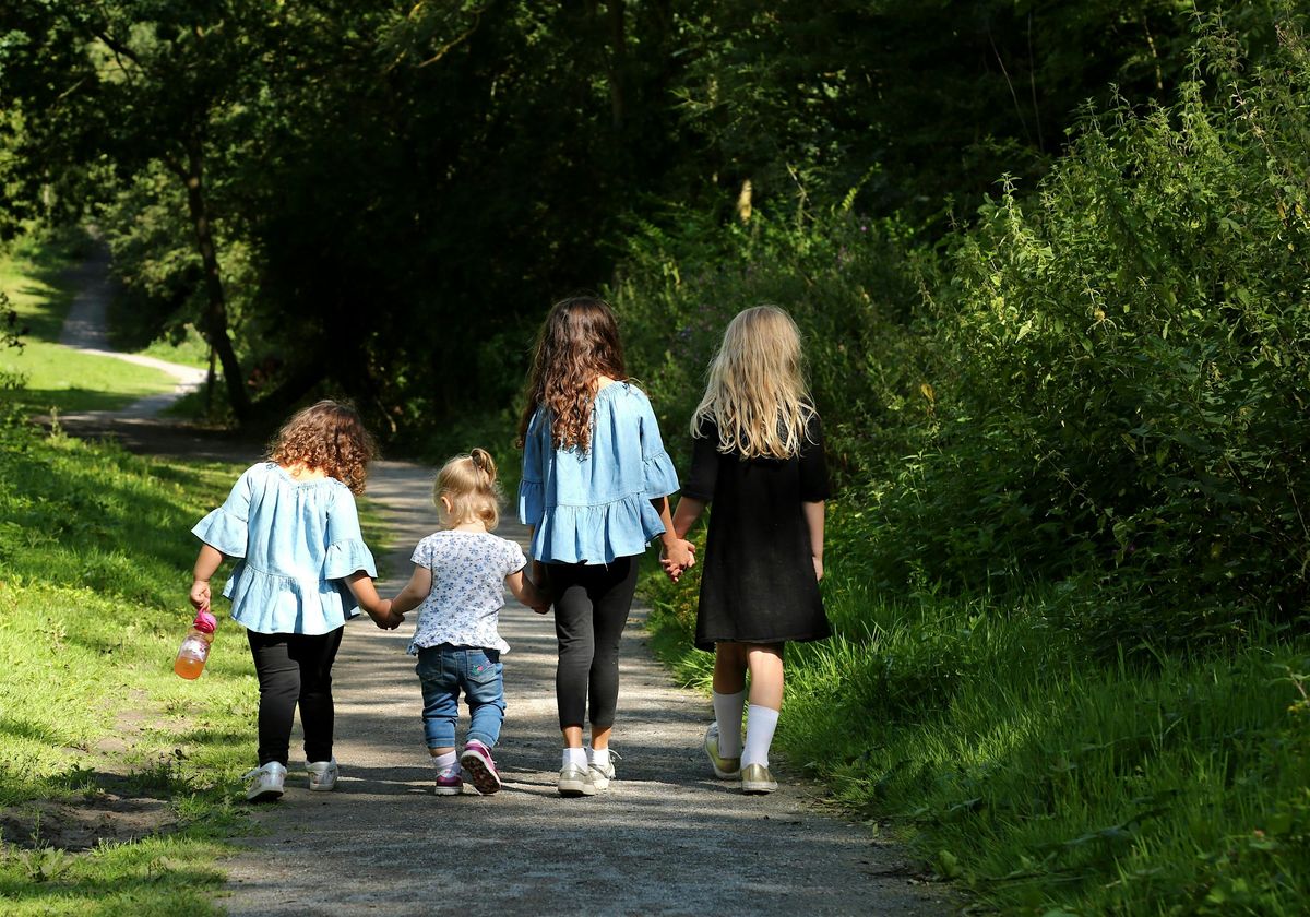 Belfairs Butterfly Bonanza