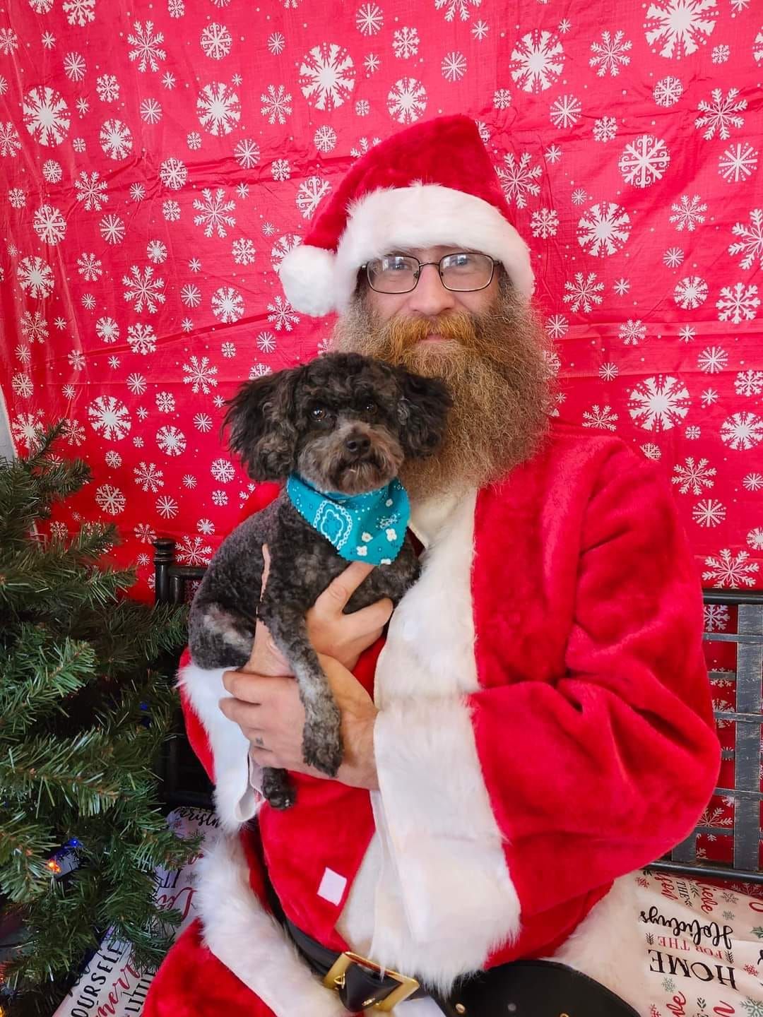 Free pet photos with Santa Fox 