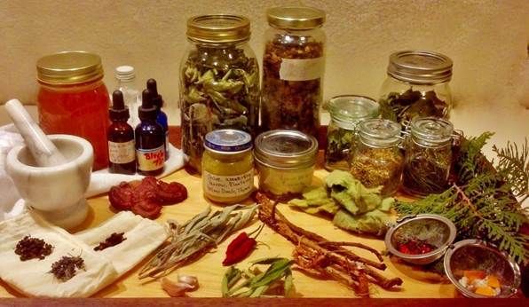 Foraged Medicine Cabinet