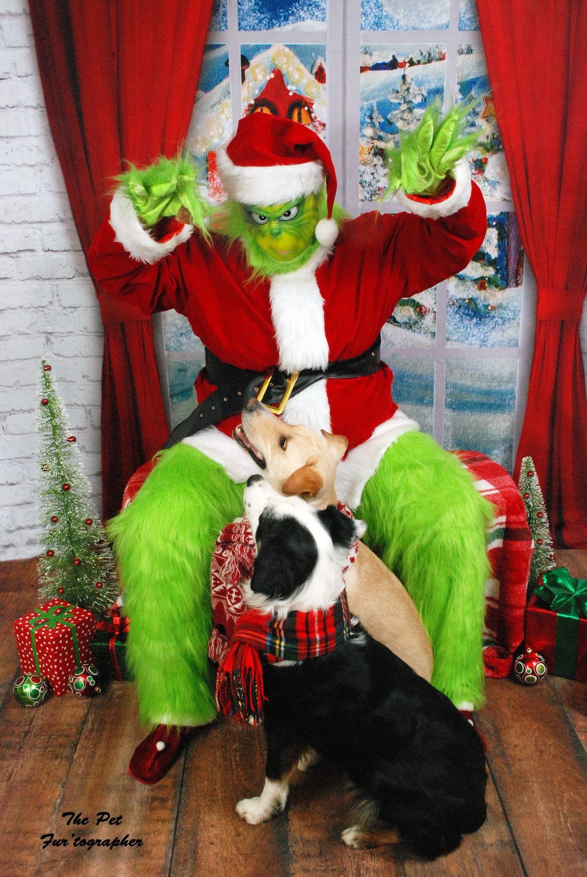 Grinch pic 12\/14\/24 @ Pet Extravaganza in Carrollton 