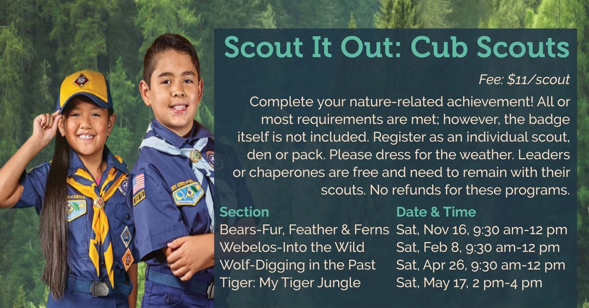 Scout It Out: Cub Scouts 