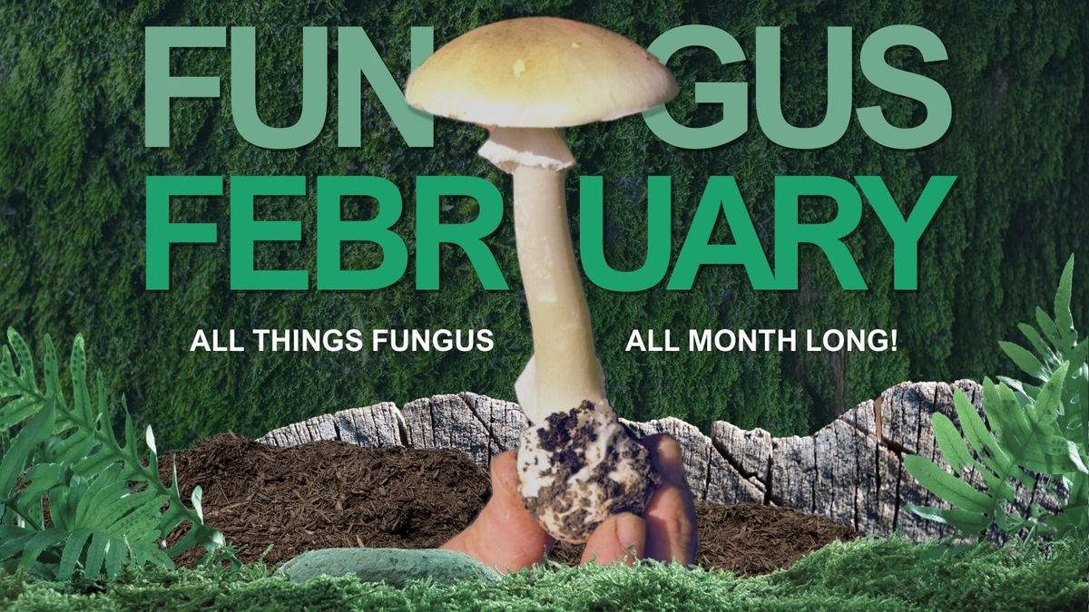 Fungus February