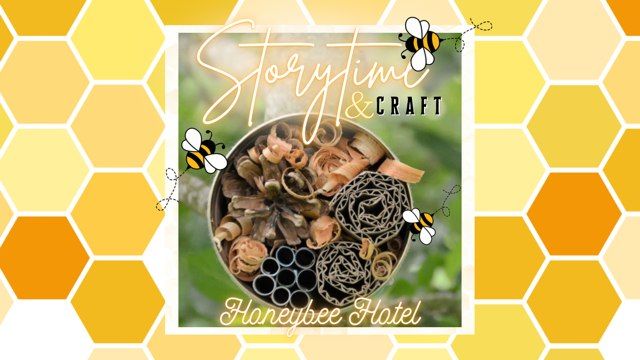Preschool Honeybee Hotel Story-time & Craft