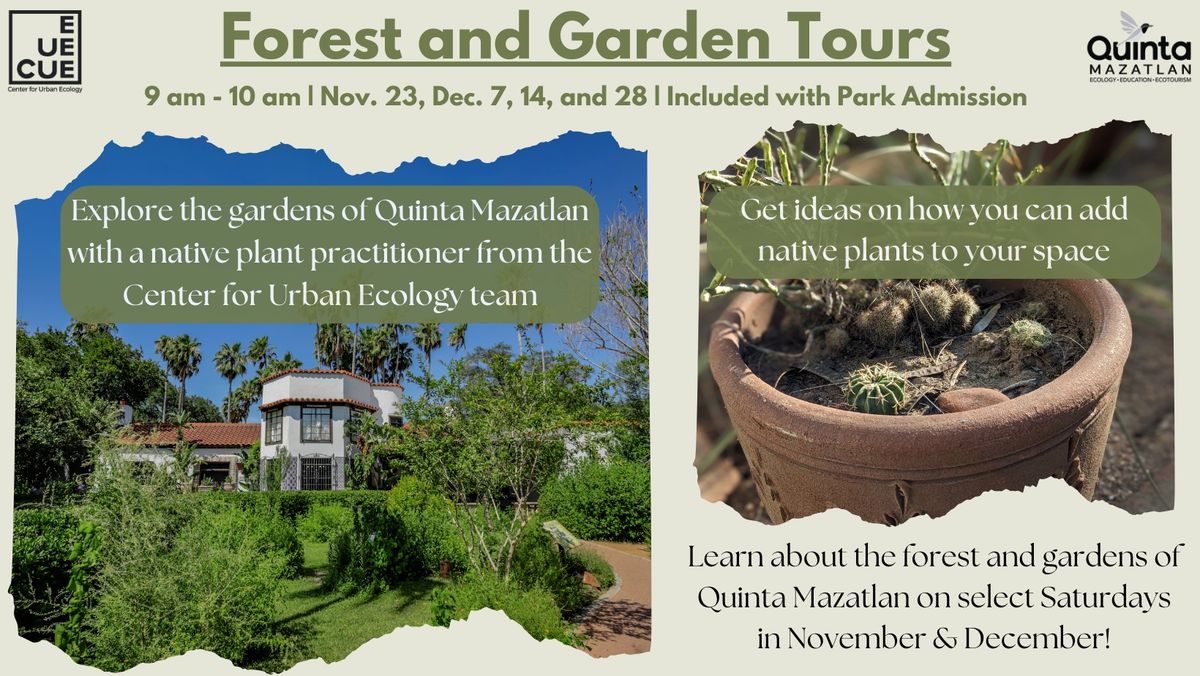 Forest & Garden Tour (November 2024)