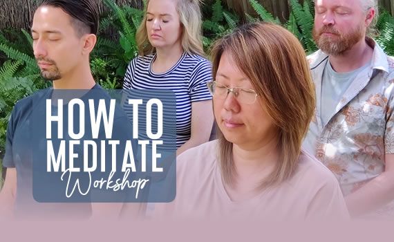 How to Meditate Workshop