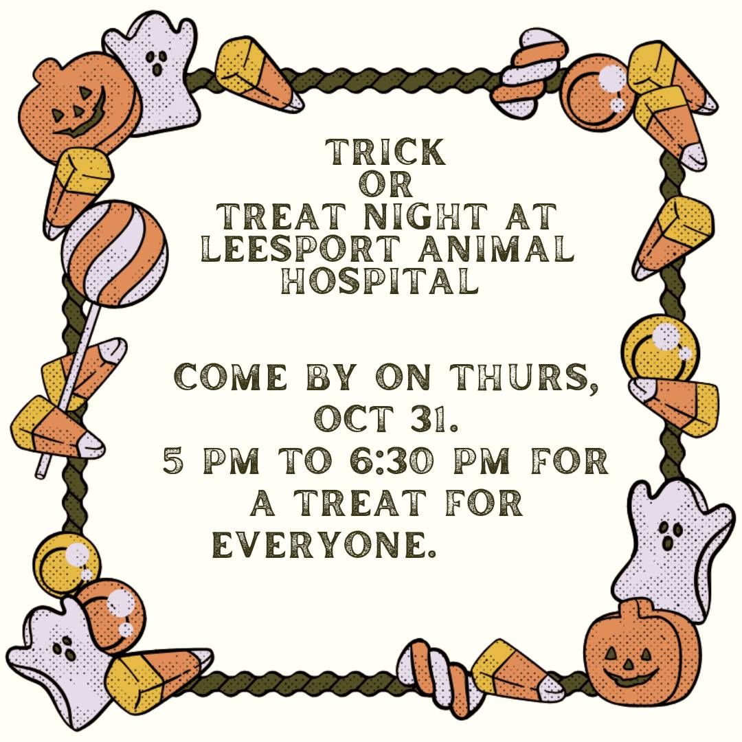 Trick or Treat at Leesport Animal Hospital