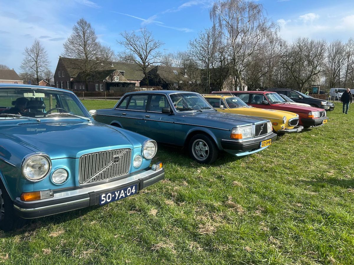 Classic volvo cars and coffee