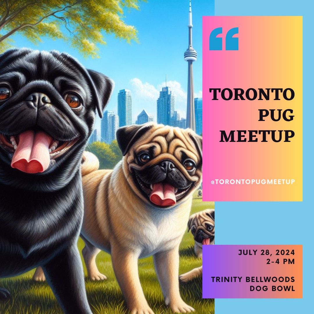 July 2024 Toronto Pug Meetup